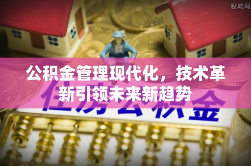 汉南公积金管理现代化，技术革新引领未来新趋势