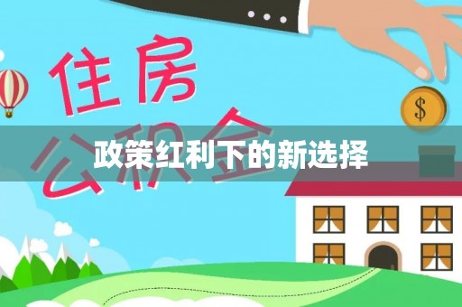 汉南政策红利下的新选择