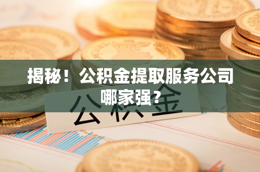 汉南揭秘！公积金提取服务公司哪家强？