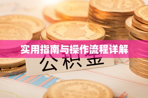汉南实用指南与操作流程详解