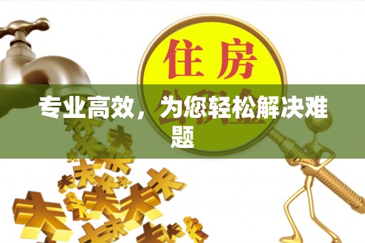 汉南专业高效，为您轻松解决难题