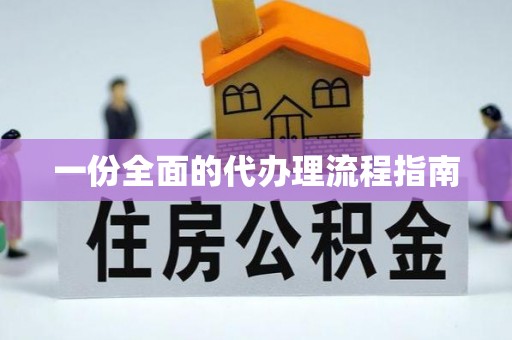 汉南一份全面的代办理流程指南