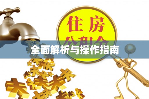 汉南全面解析与操作指南