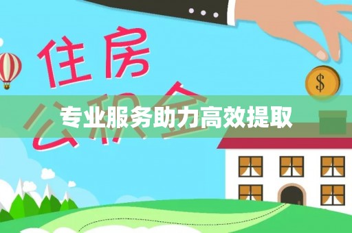 汉南专业服务助力高效提取