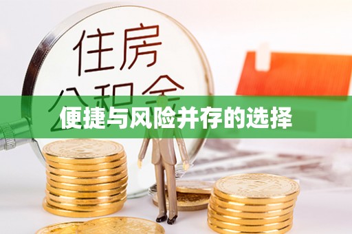 汉南便捷与风险并存的选择